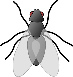Sad Insects Cliparts