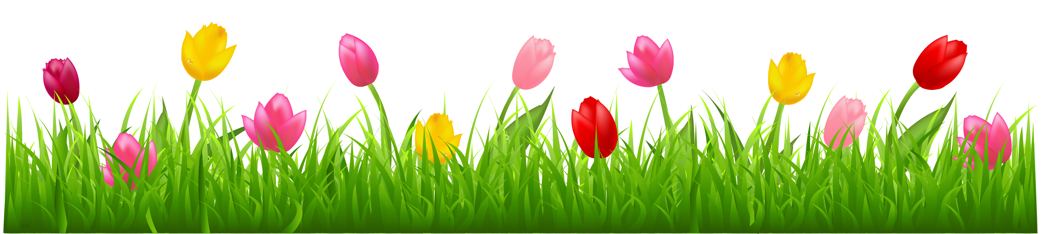 Grass with Colorful Tulips PNG Clipart 