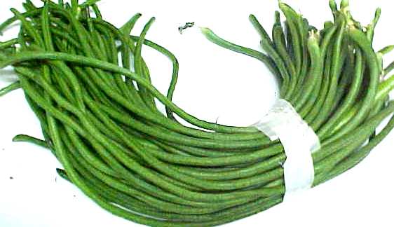 Long beans clipart
