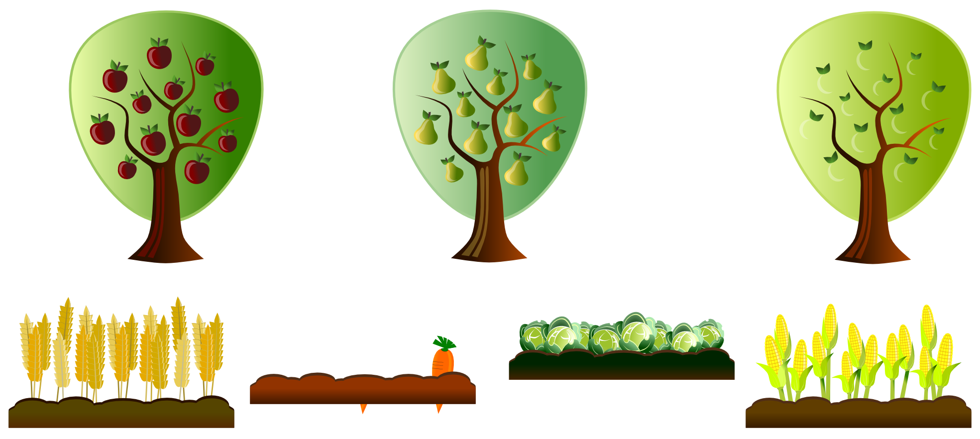 America Crops Easy Clipart