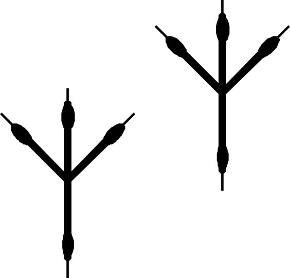 Walking Footprints Cliparts