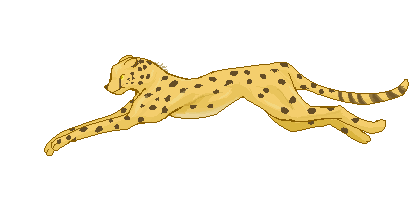 Cheetah Running Gif
