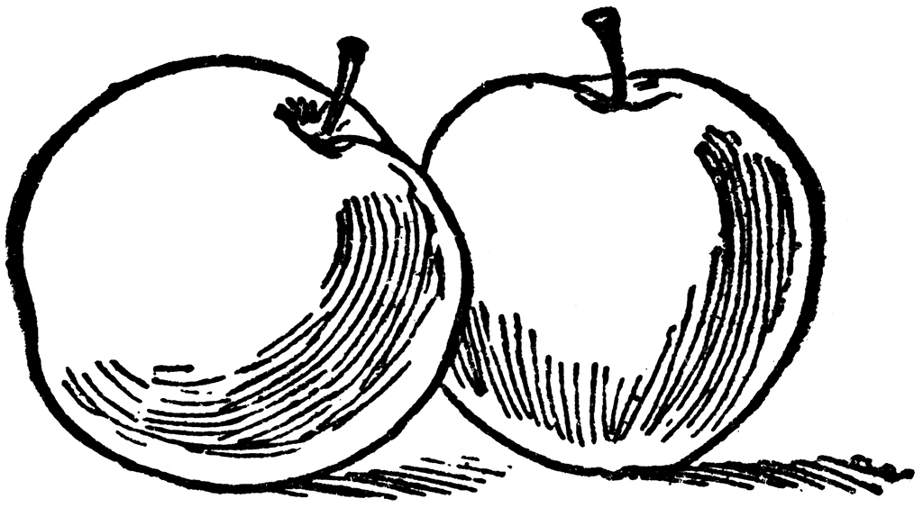 Clipart of apple black and white