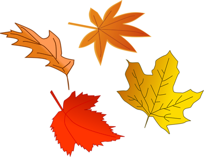 Fall leaf clipart no background