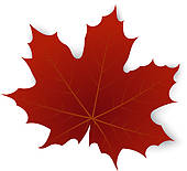 Fall Leaves Transparent Background Clipart
