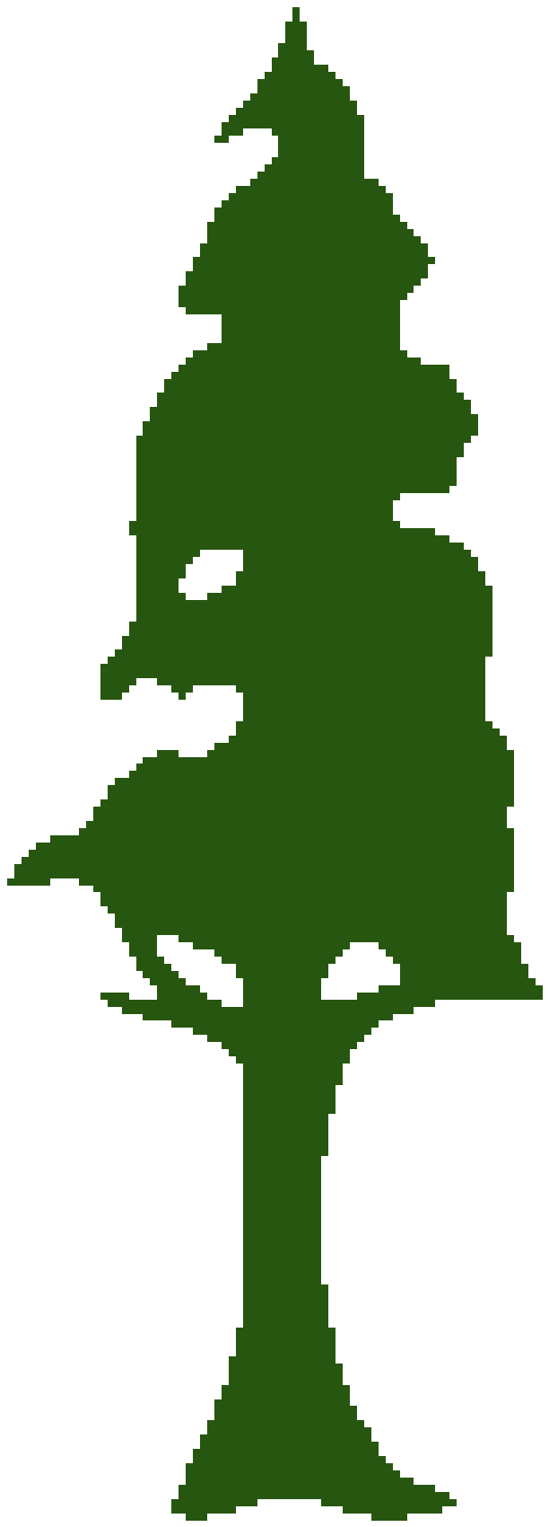 Redwood Tree Clip Art