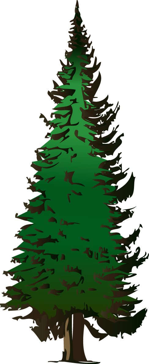 Free Redwood Cliparts