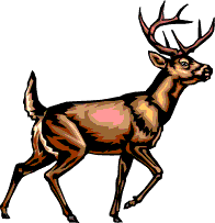 Deer Hunter Cliparts