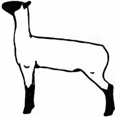 Outline Of A Lamb