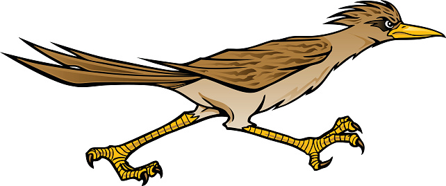 Roadrunner clipart silhouette