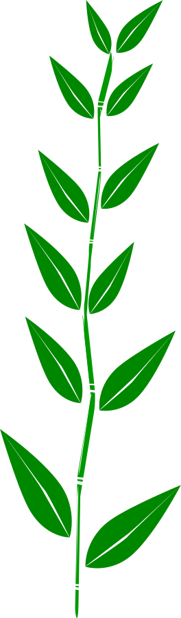 Jungle leaves clip art