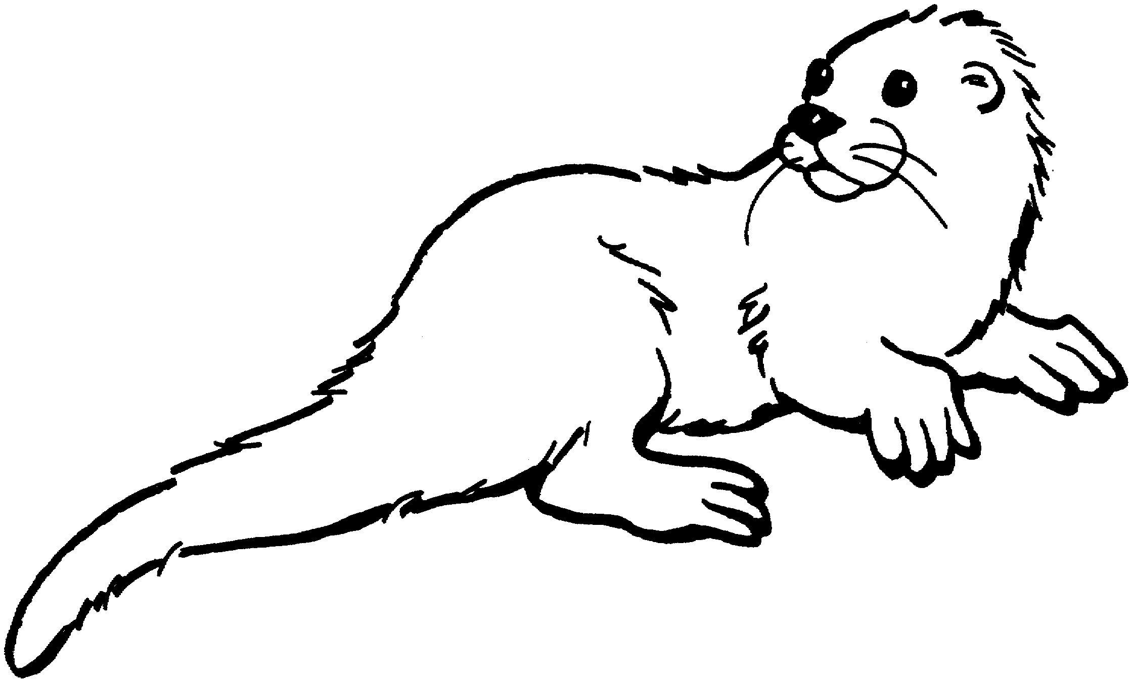 Otter clipart black and white
