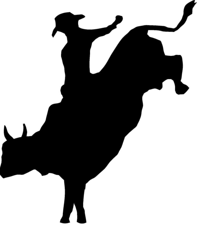 Image Of Bull 