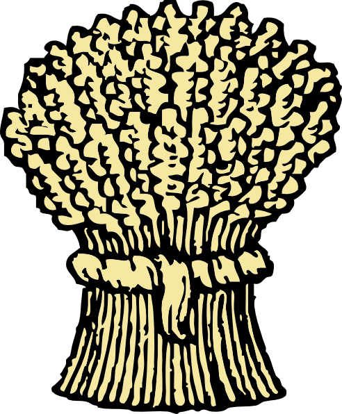Grains Clipart