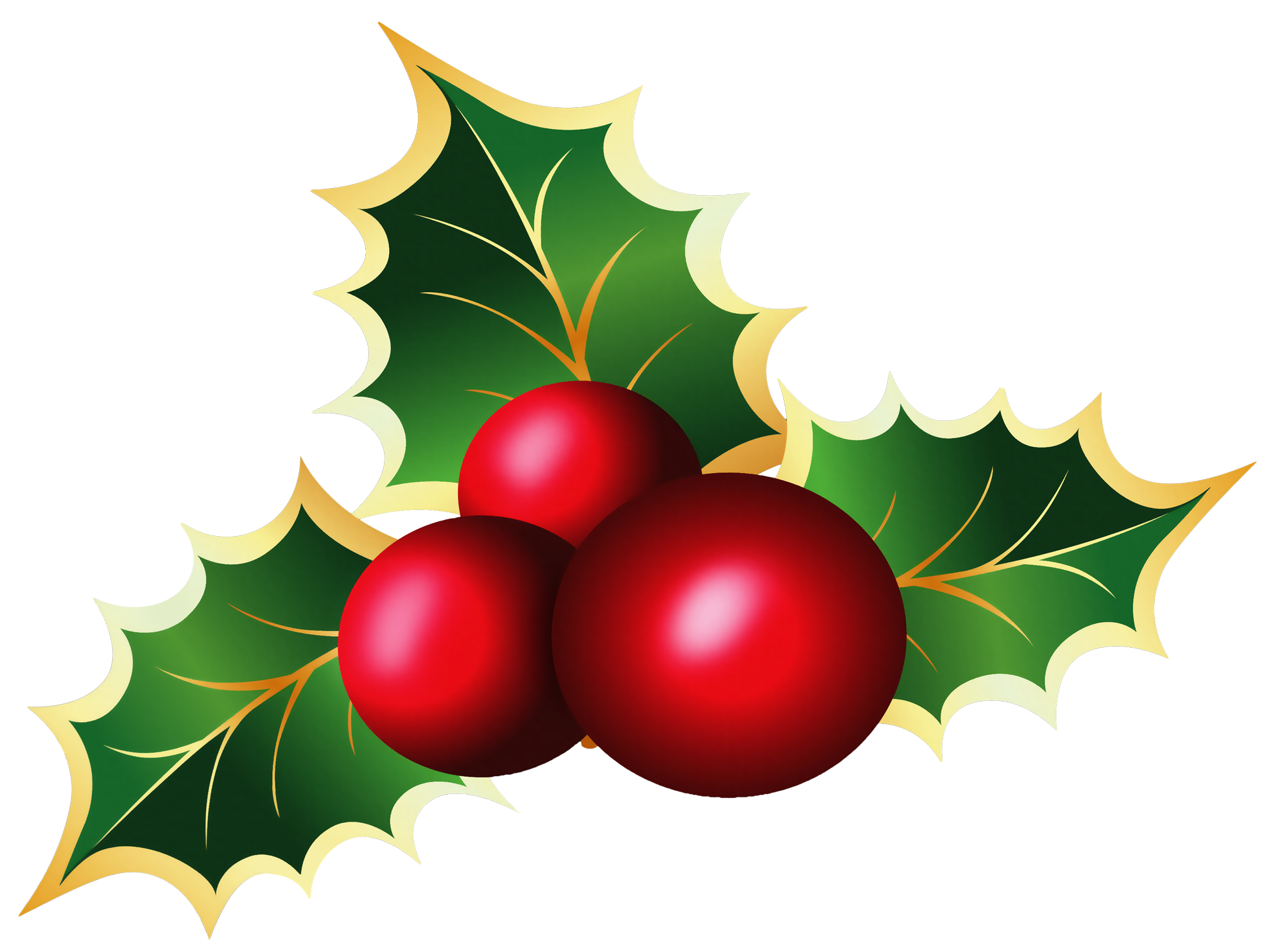 holly png