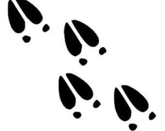 Deer Footprints Cliparts