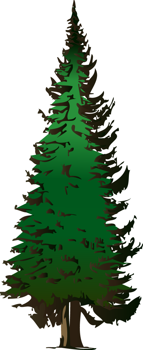 Free fir tree clipart image