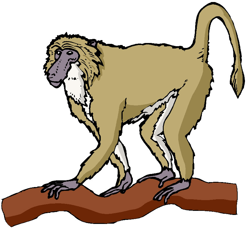 Free Monkey Clipart