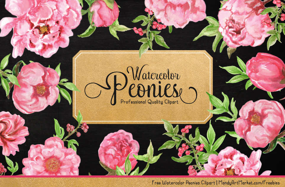 Free Watercolor Peonies Clipart