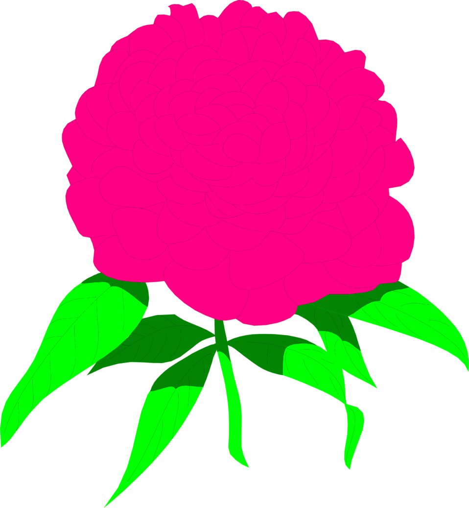 Free pink peony clipart