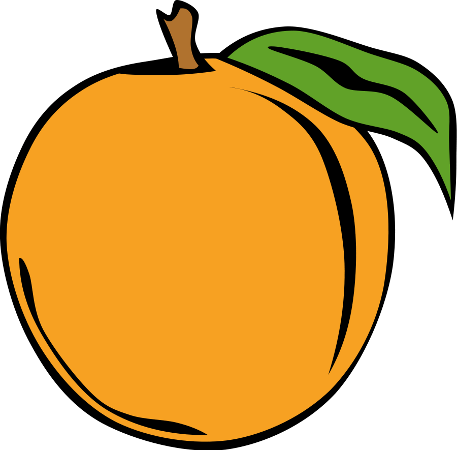 Fruit clip art vector