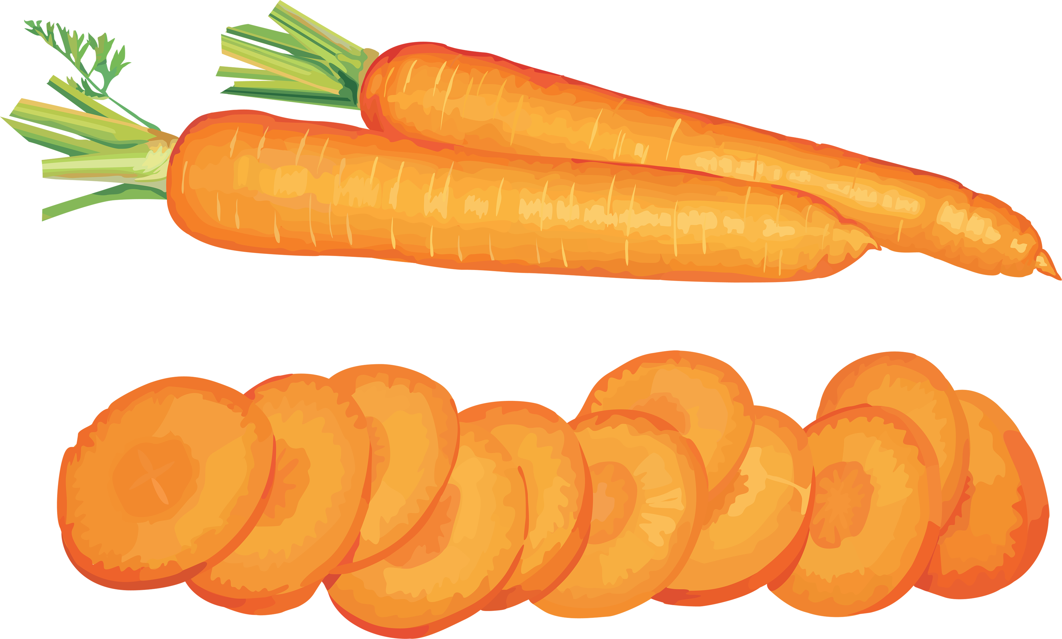 Carrot clipart image