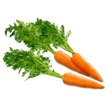 Carrot clipart no background