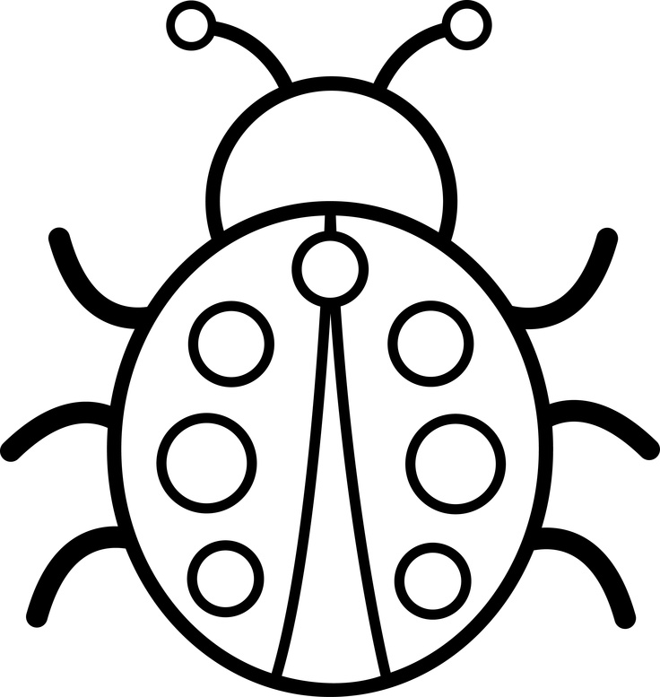 Cute Owl Clipart