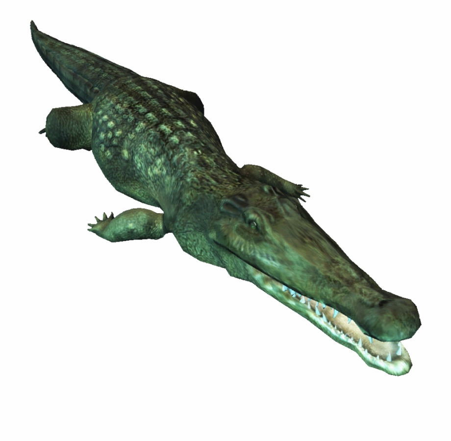 Saltwater Crocodile Png Image Assassins Creed 4 
