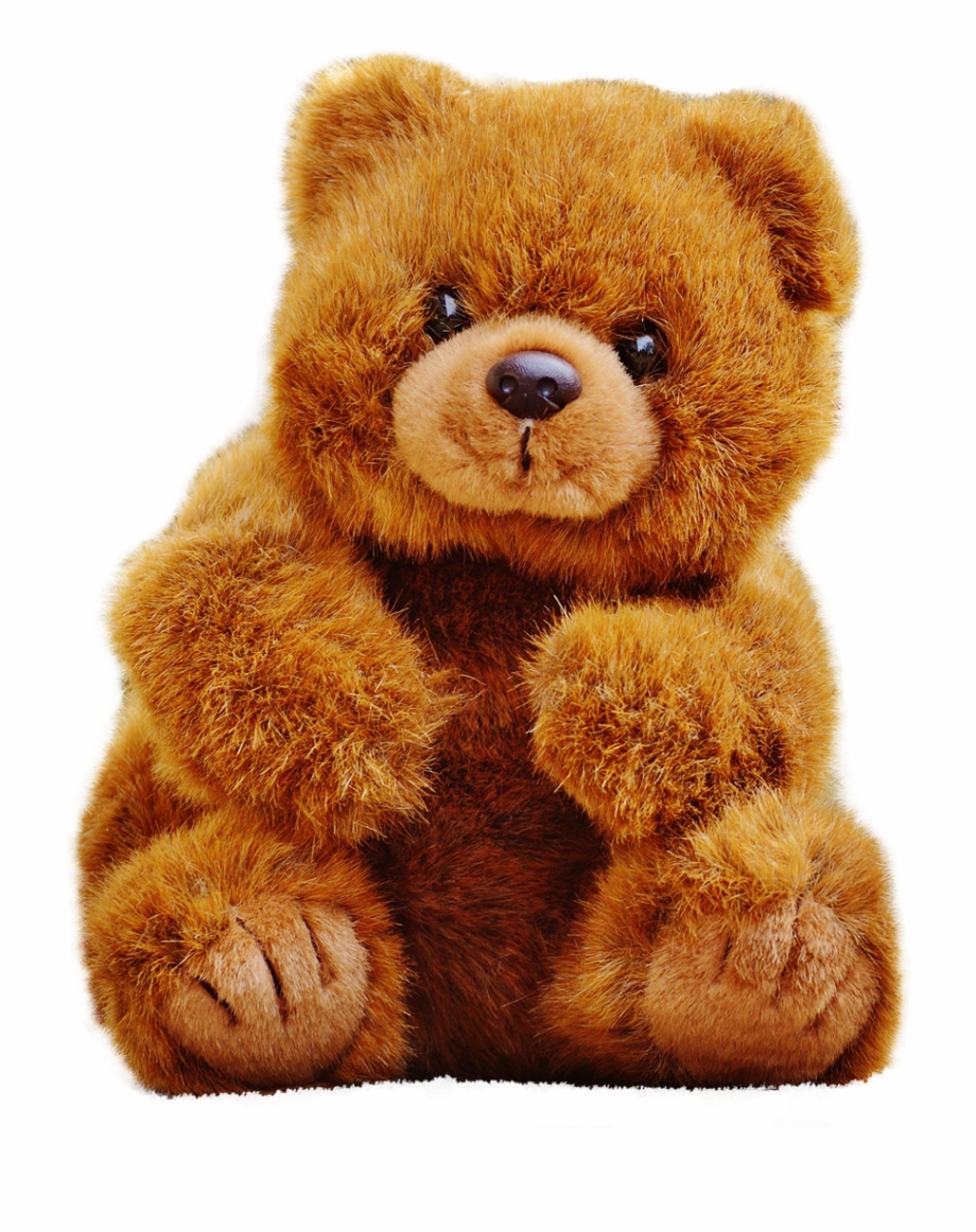 Teddy Bear Png Transparent Image Flowers For My