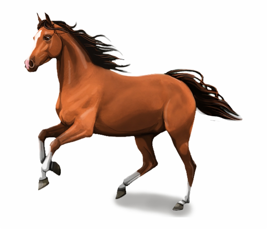 Horse Cartoon png download - 512*512 - Free Transparent Horse png Download.  - CleanPNG / KissPNG