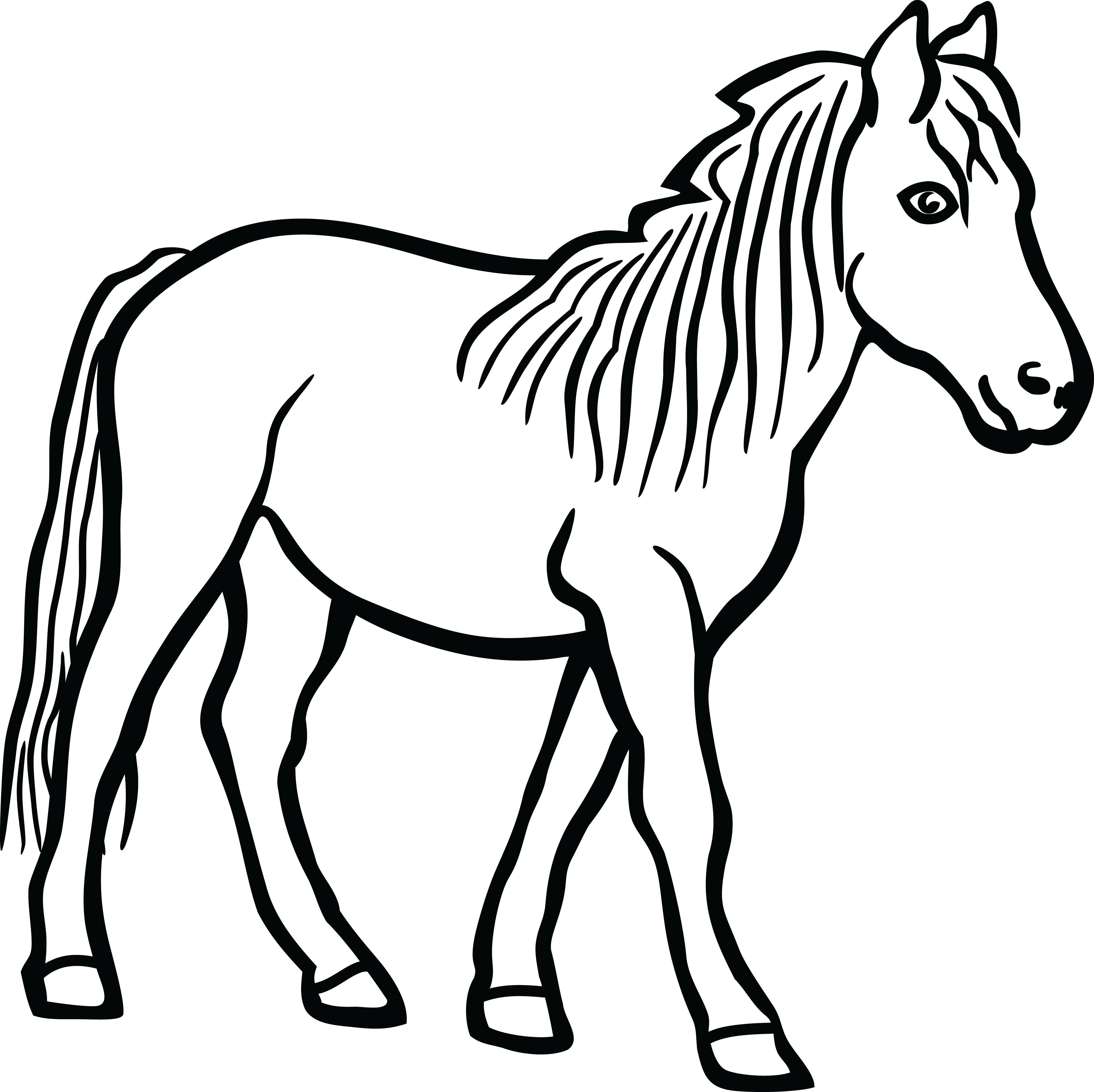 Картинки пнг раскраски. Лошадь черно белая раскраска. Лошадка черно белая. Черная лошадка для раскрашивания. Лошадь клипарт чб.