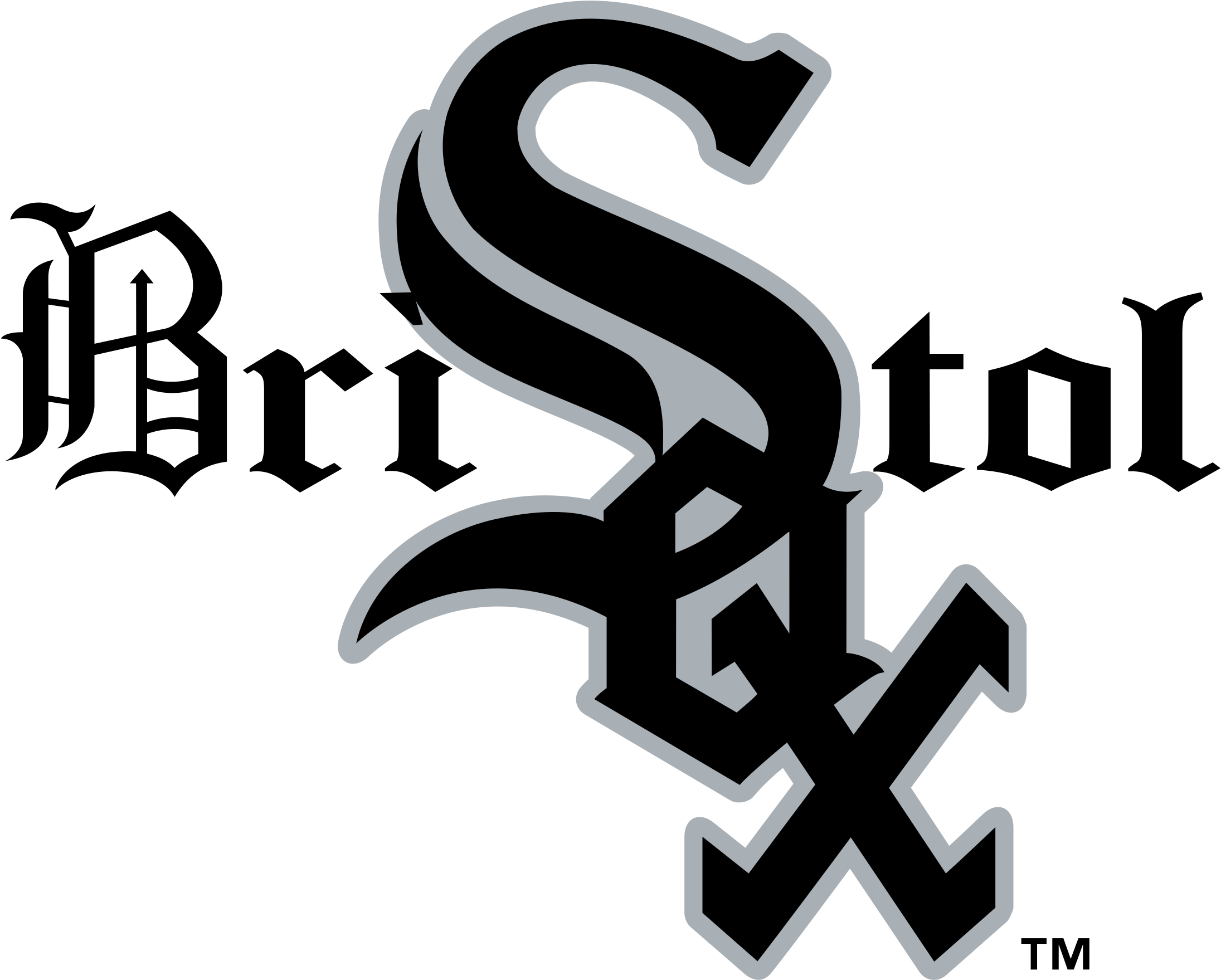Bristol White Sox Logo Png Transparent Chicago White