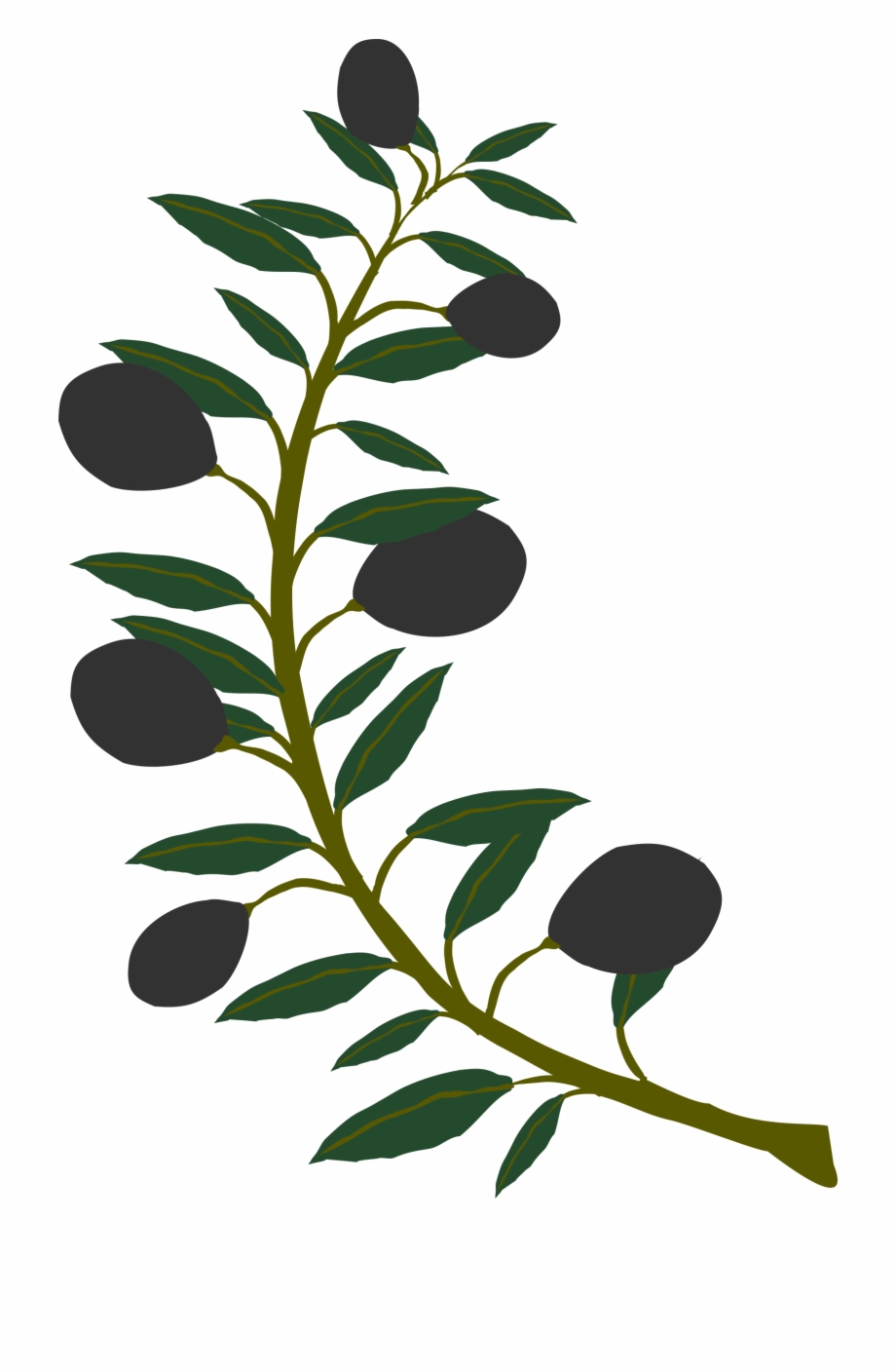 Free Black And White Olive Branch Download Free Black And White Olive Branch Png Images Free 