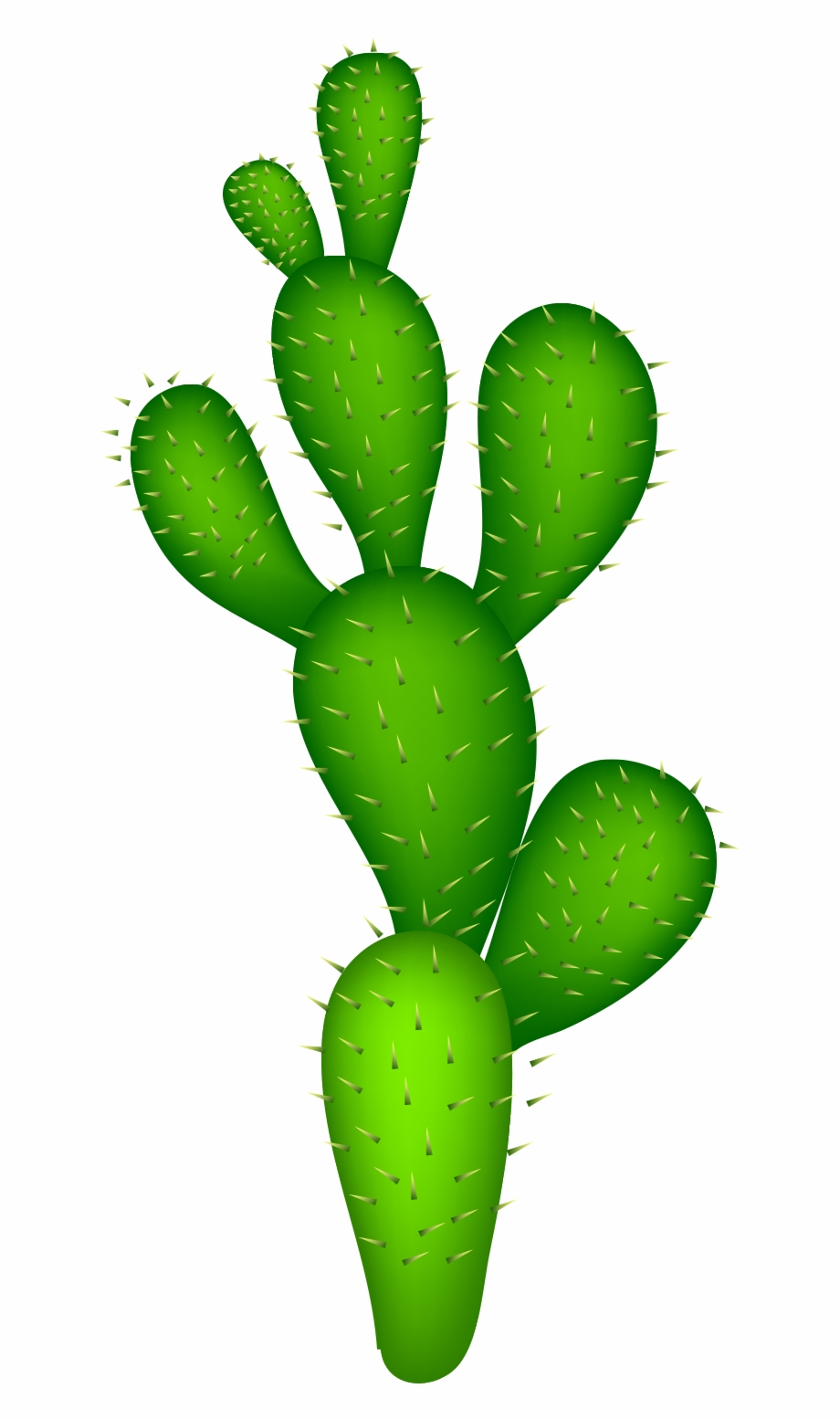 Cactaceae Clip Art Free Cactus