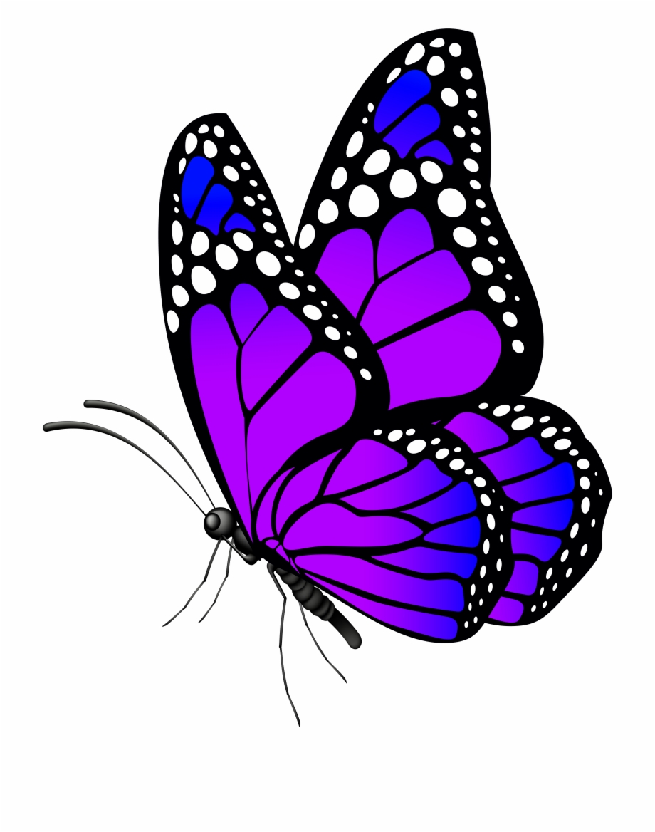 Purple Butterfly Png Clip Art Purple Butterfly Tattoo Butterfly Clip ...