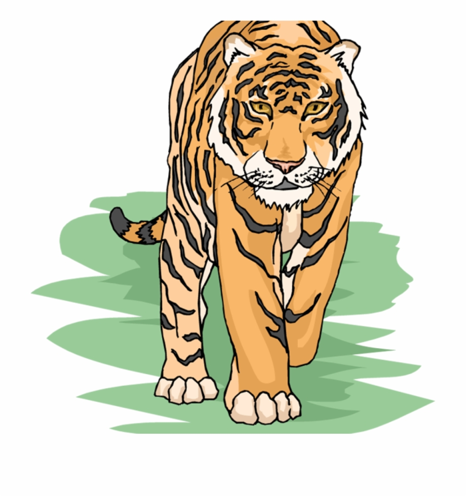 Free Tiger Clipart Snowflake Clipart Hatenylo Tiger Clipart