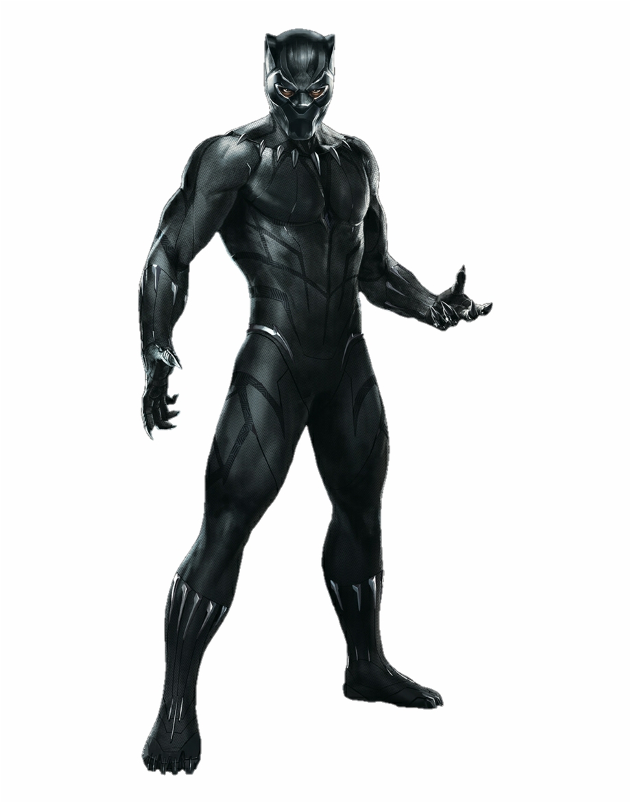 Panther Habit Black Panther Mcu Suit