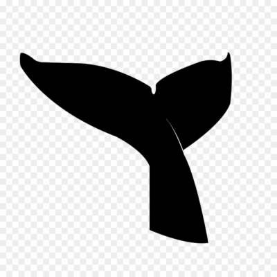 Whale Tail Png