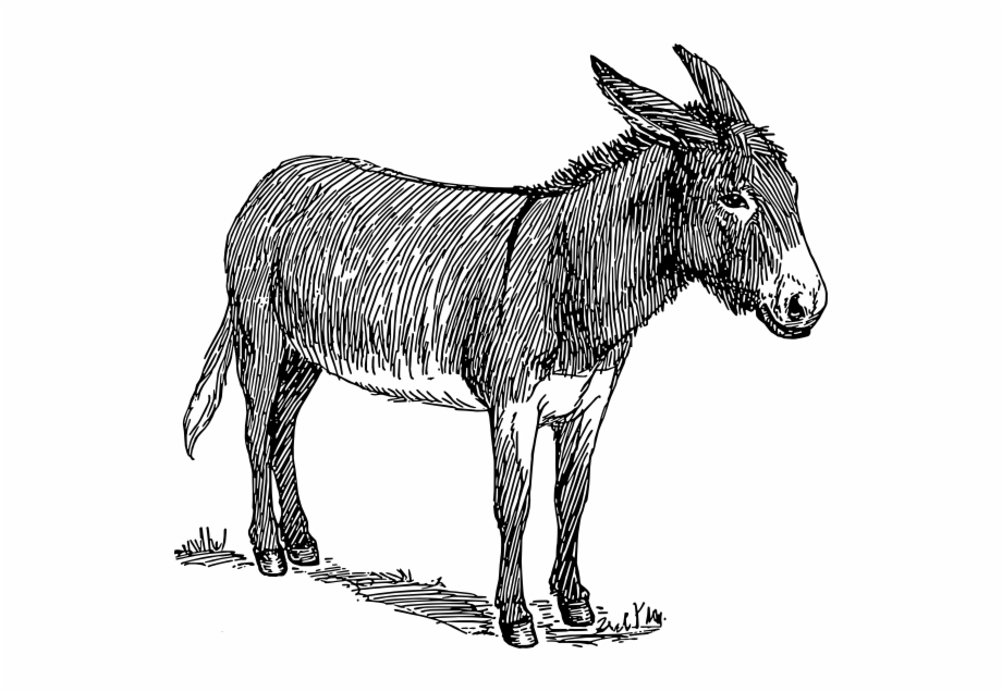 How To Set Use Donkey Svg Vector Donkey
