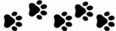 Puppy Paw Png