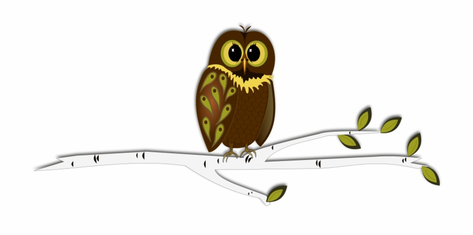 Baby Owls Drawing Owls For Kids Clip Art