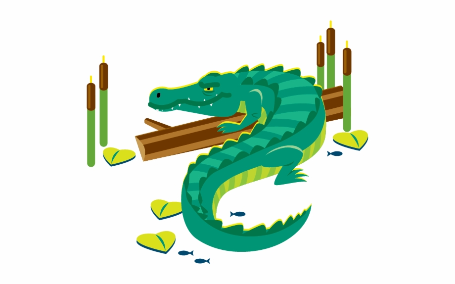 Alligator Illustration