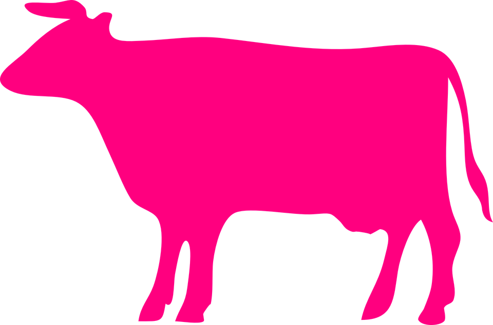 Pink Cow Clipart Collection Cow Silhouette