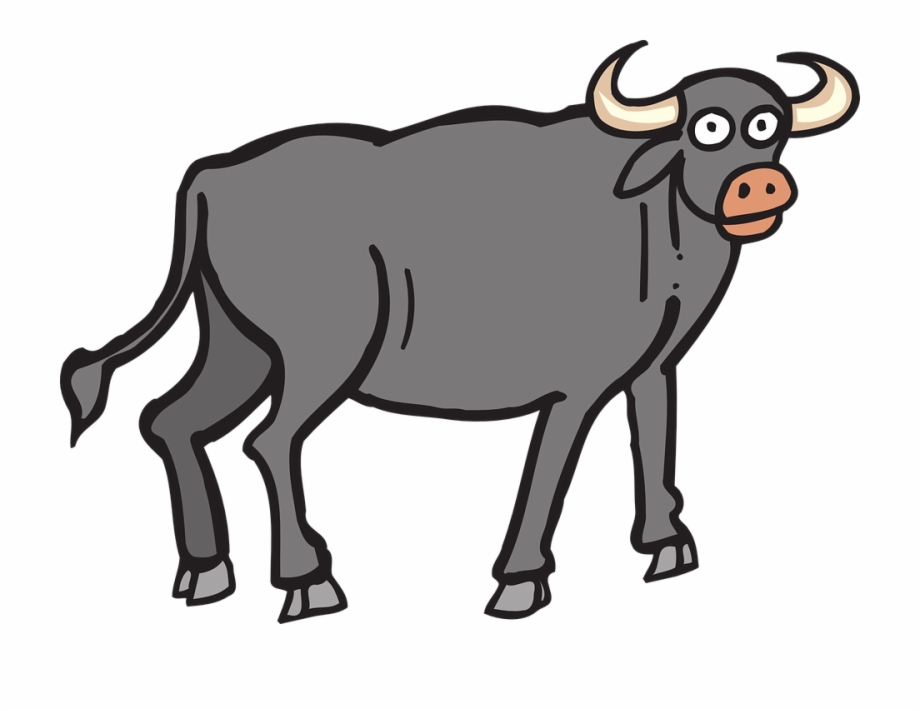 Cattle Clipart Carabao Buffalo Clipart