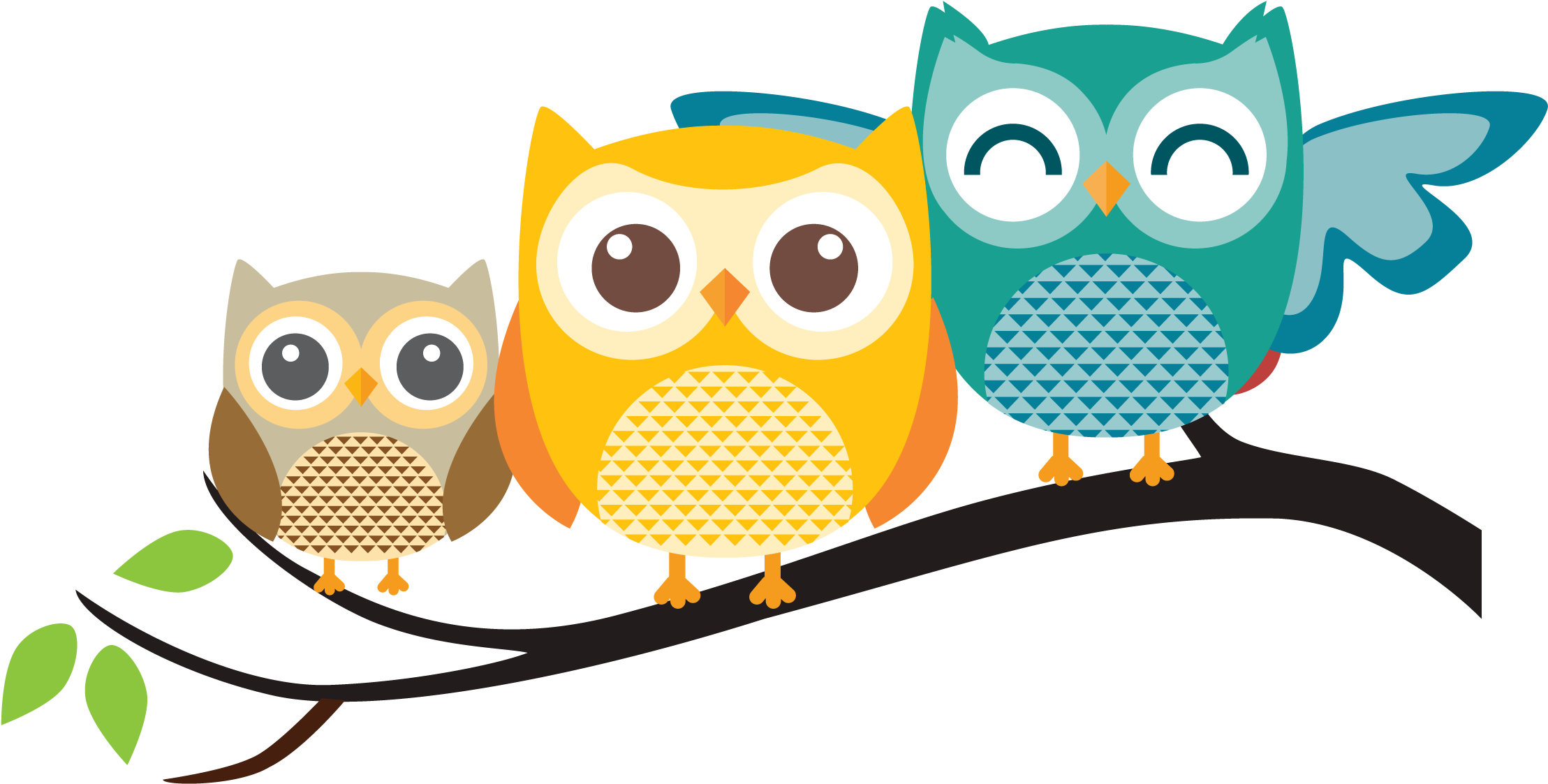 Close Owl Cartoon Family
