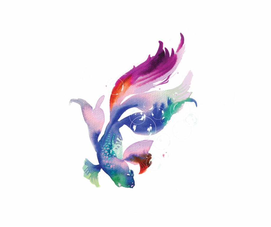 Fish Illustration Png