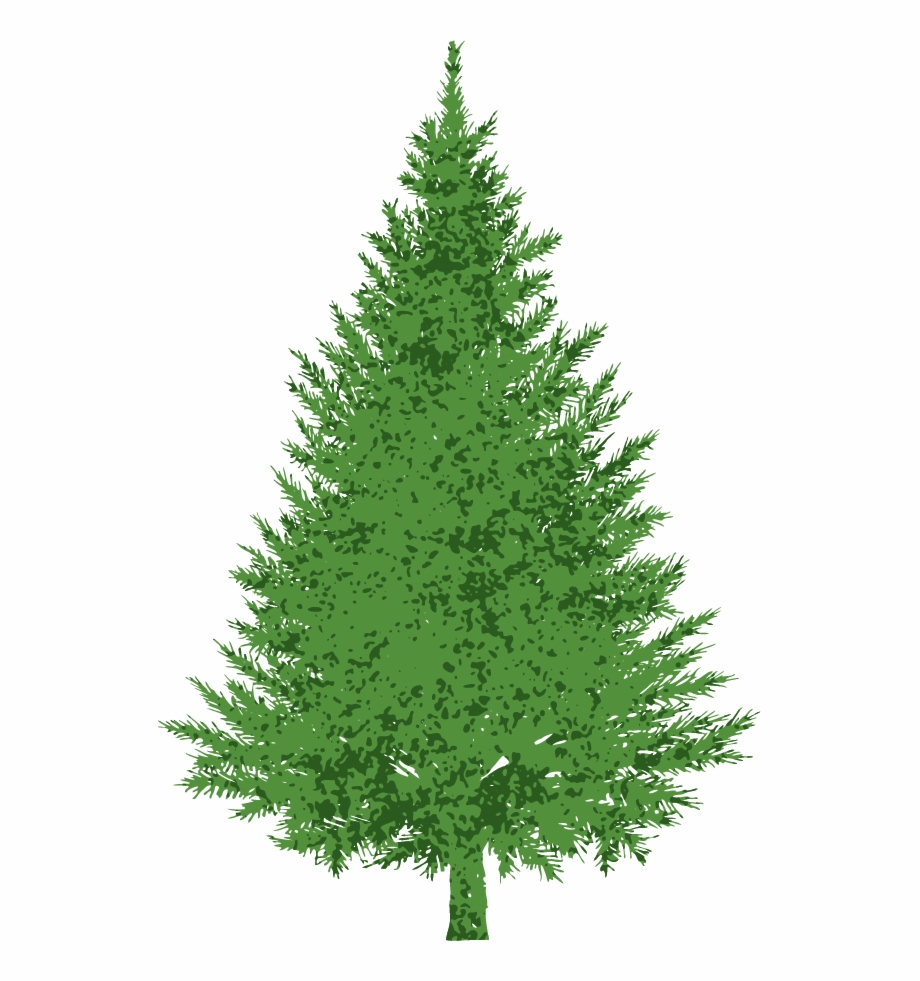 Buncee Evergreen Christmas Tree