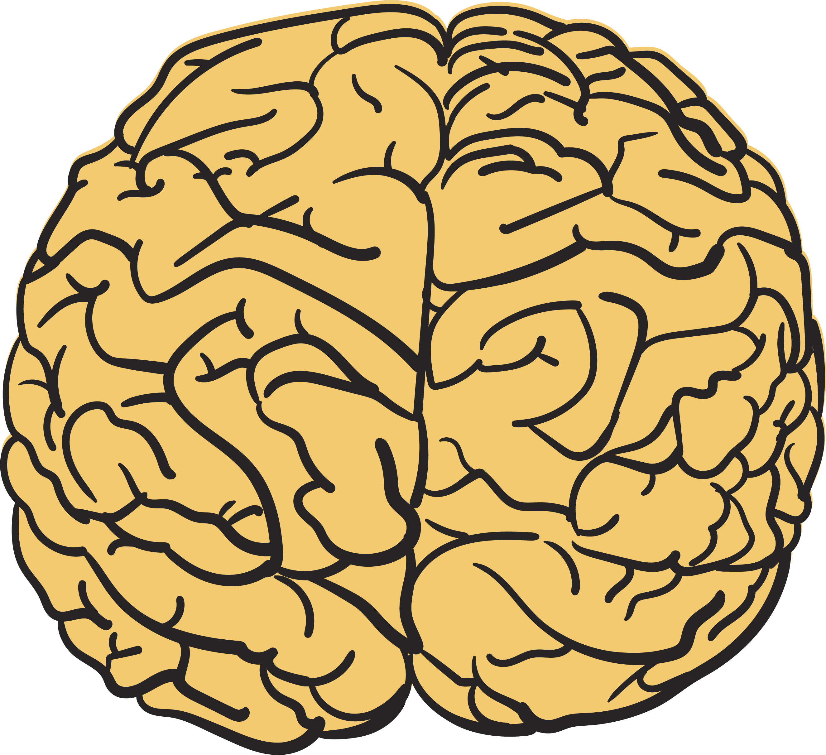 Brain Clipart Yellow Cerebro Png Desenho