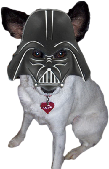 Haven As Darth Vader Dog Darth Vader Png